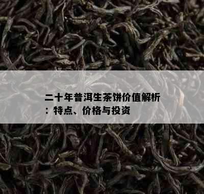 二十年普洱生茶饼价值解析：特点、价格与投资