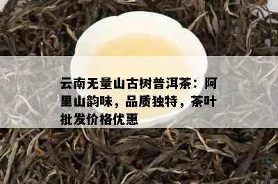 云南无量山古树普洱茶：阿里山韵味，品质独特，茶叶批发价格优惠