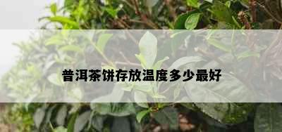 普洱茶饼存放温度多少更好