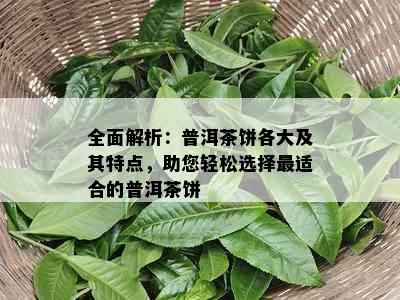 全面解析：普洱茶饼各大及其特点，助您轻松选择最适合的普洱茶饼