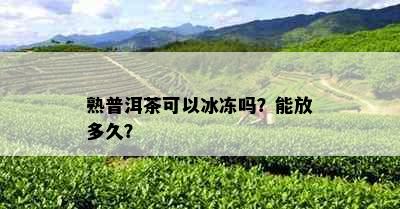 熟普洱茶可以冰冻吗？能放多久？