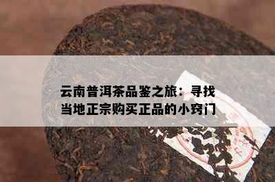 云南普洱茶品鉴之旅：寻找当地正宗购买正品的小窍门