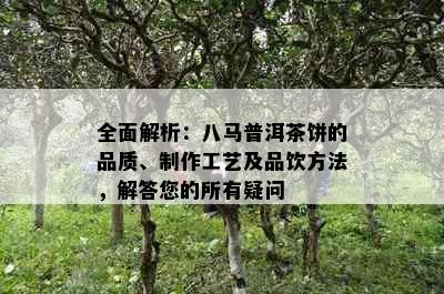 全面解析：八马普洱茶饼的品质、制作工艺及品饮方法，解答您的所有疑问