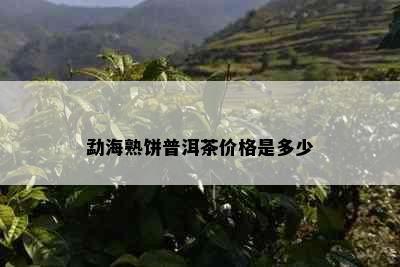 勐海熟饼普洱茶价格是多少