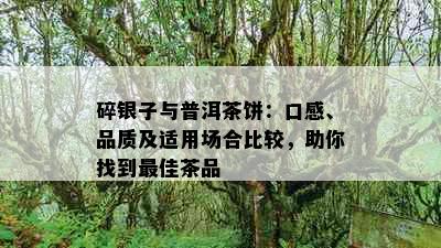 碎银子与普洱茶饼：口感、品质及适用场合比较，助你找到更佳茶品