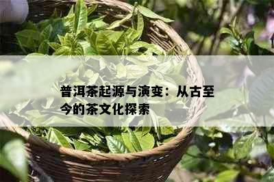 普洱茶起源与演变：从古至今的茶文化探索