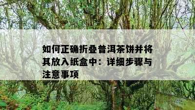 如何正确折叠普洱茶饼并将其放入纸盒中：详细步骤与注意事项