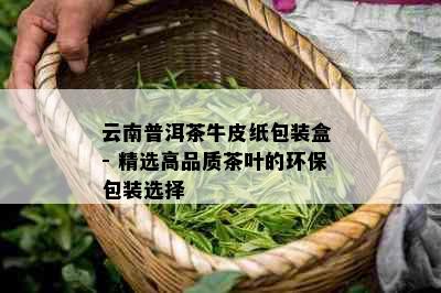 云南普洱茶牛皮纸包装盒 - 精选高品质茶叶的环保包装选择