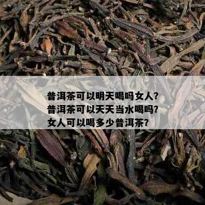 普洱茶可以明天喝吗女人？普洱茶可以天天当水喝吗？女人可以喝多少普洱茶？