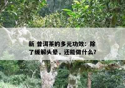 新 普洱茶的多元功效：除了缓解头晕，还能做什么？