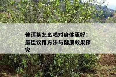 普洱茶怎么喝对身体更好：更佳饮用方法与健康效果探究