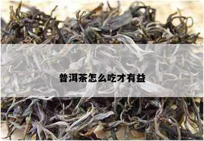 普洱茶怎么吃才有益