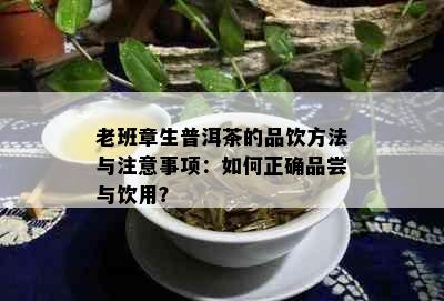 老班章生普洱茶的品饮方法与注意事项：如何正确品尝与饮用？