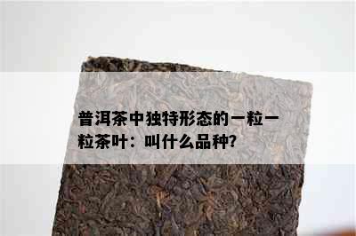 普洱茶中独特形态的一粒一粒茶叶：叫什么品种？