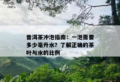 普洱茶冲泡指南：一泡需要多少毫升水？了解正确的茶叶与水的比例