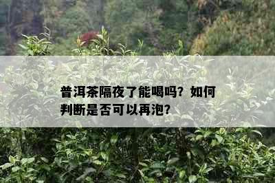 普洱茶隔夜了能喝吗？如何判断是否可以再泡？