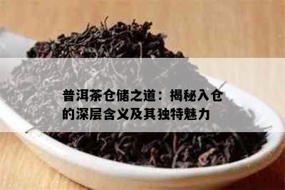 普洱茶仓储之道：揭秘入仓的深层含义及其独特魅力