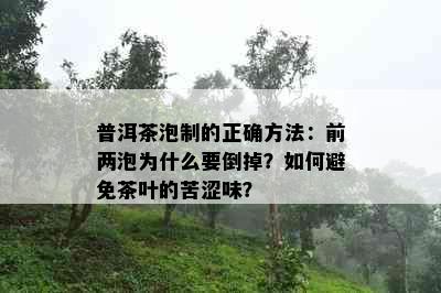 普洱茶泡制的正确方法：前两泡为什么要倒掉？如何避免茶叶的苦涩味？