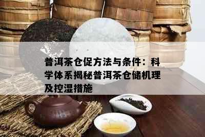 普洱茶仓促方法与条件：科学体系揭秘普洱茶仓储机理及控湿措施