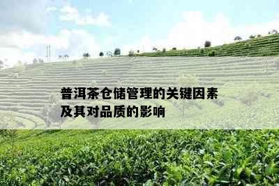 普洱茶仓储管理的关键因素及其对品质的影响