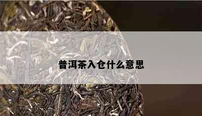 普洱茶入仓什么意思