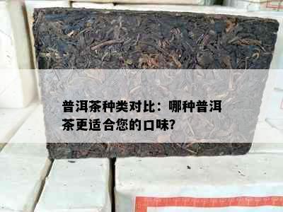 普洱茶种类对比：哪种普洱茶更适合您的口味？