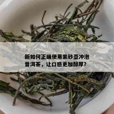 新如何正确使用紫砂壶冲泡普洱茶，让口感更加醇厚？