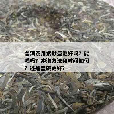 普洱茶用紫砂壶泡好吗？能喝吗？冲泡方法和时间如何？还是盖碗更好？