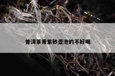 普洱茶用紫砂壶泡的不好喝