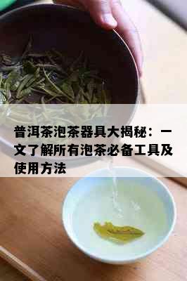 普洱茶泡茶器具大揭秘：一文了解所有泡茶必备工具及使用方法