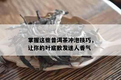 掌握这些普洱茶冲泡技巧，让你的叶底散发迷人香气