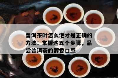 普洱茶叶怎么泡才是正确的方法：掌握这五个步骤，品尝普洱茶的醇香口感