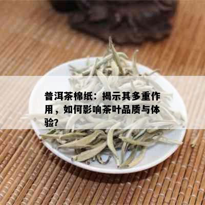 普洱茶棉纸：揭示其多重作用，如何影响茶叶品质与体验？