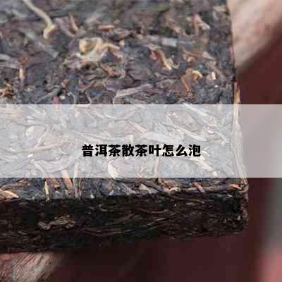 普洱茶散茶叶怎么泡