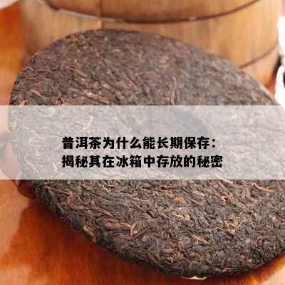 普洱茶为什么能长期保存：揭秘其在冰箱中存放的秘密