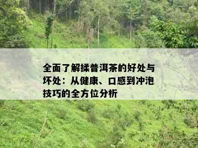 全面了解揉普洱茶的好处与坏处：从健康、口感到冲泡技巧的全方位分析