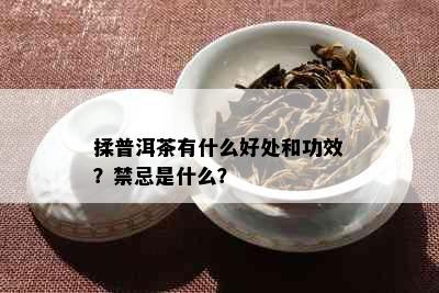 揉普洱茶有什么好处和功效？禁忌是什么？