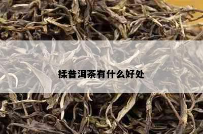 揉普洱茶有什么好处