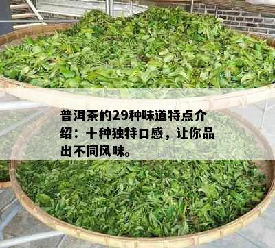 普洱茶的29种味道特点介绍：十种独特口感，让你品出不同风味。