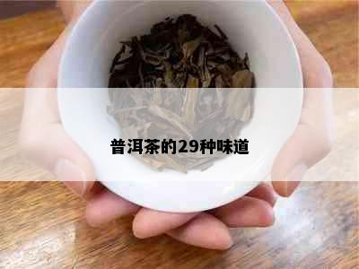 普洱茶的29种味道