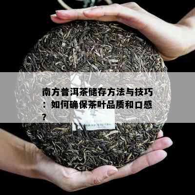 南方普洱茶储存方法与技巧：如何确保茶叶品质和口感？