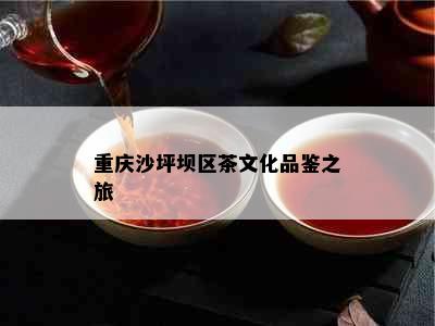 重庆沙坪坝区茶文化品鉴之旅