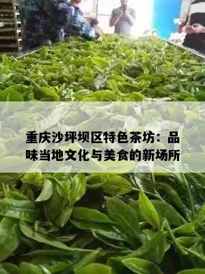 重庆沙坪坝区特色茶坊：品味当地文化与美食的新场所