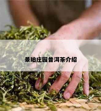 景珀庄园普洱茶介绍