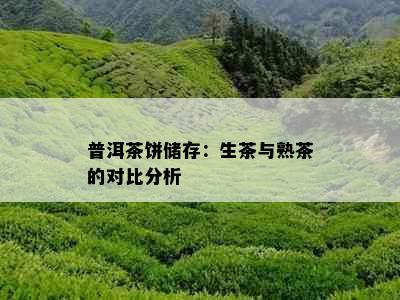 普洱茶饼储存：生茶与熟茶的对比分析