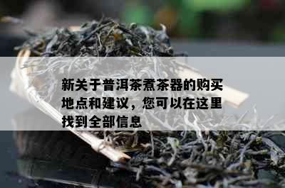 新关于普洱茶煮茶器的购买地点和建议，您可以在这里找到全部信息