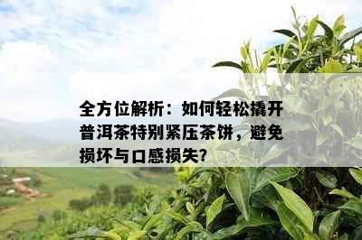 全方位解析：如何轻松撬开普洱茶特别紧压茶饼，避免损坏与口感损失？