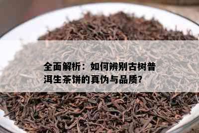 全面解析：如何辨别古树普洱生茶饼的真伪与品质？