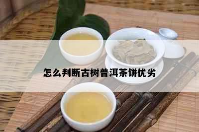 怎么判断古树普洱茶饼优劣