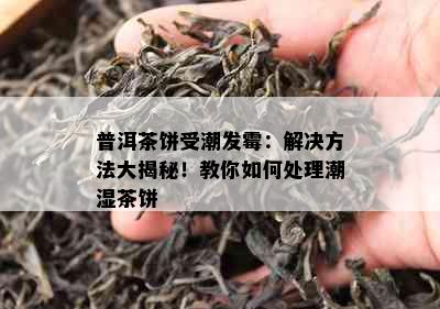 普洱茶饼受潮发霉：解决方法大揭秘！教你如何处理潮湿茶饼